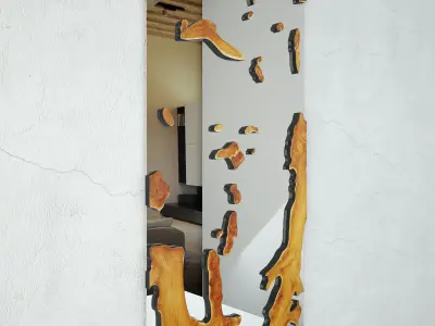 Teak Root Mirror 2 3D model