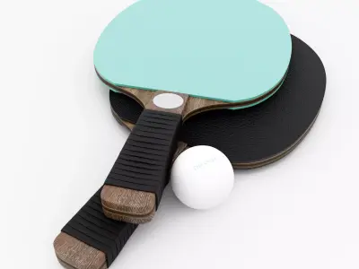 Leather and Walnut Table Tennis Paddles 3D model