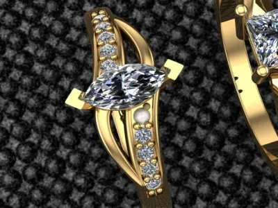 Ring Pack 3D print model