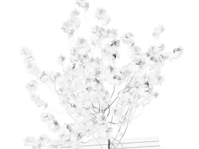 Minimalistic young tree on wooden base 3D model