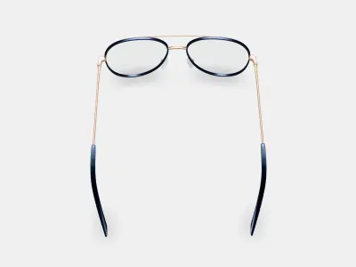 York Eyeglasses in Brushed Ink with Polished Gold 3D model