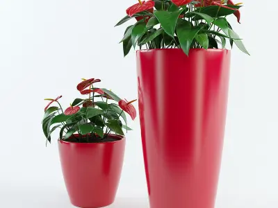 Anthurium plant pots - plant pots 3D model
