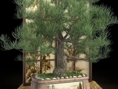Bonsai set  sakura coniferous deciduous 3D model