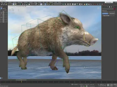 Realistic Boars Low-poly 3D model