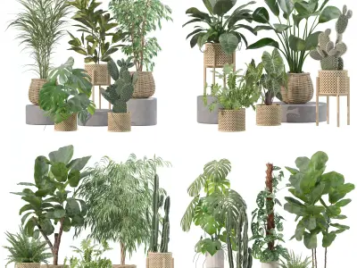 20 Photorealistic Flowers for Interiors - set 206 210 212 219 3D Model Collection