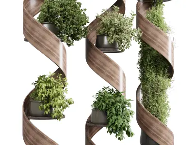 Column plant - pillar plant set indoor plant 412  Low-poly 3D model