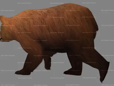 Bear Rigged Animated 10 Low-poly 3D model