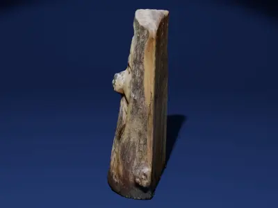 Wood spirit Greenman Sculpture Photoscan Low-poly 3D model