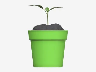 Decorative potted plant 12 3D model