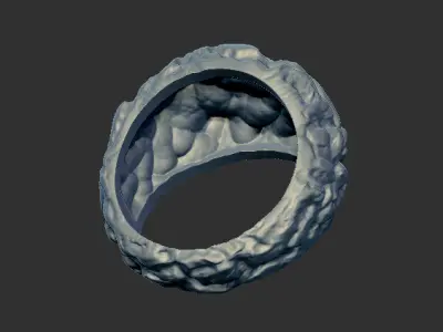 Texture Ring 91434 3D print model
