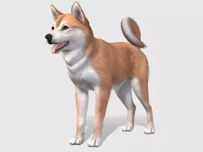 Dog - Shiba Inu Low-poly 3D model