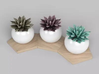 Potted Plant Decoration 3D model