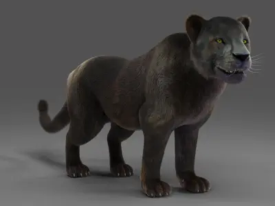 Fur Black Panther Rigged in Blender  Low-poly 3D model