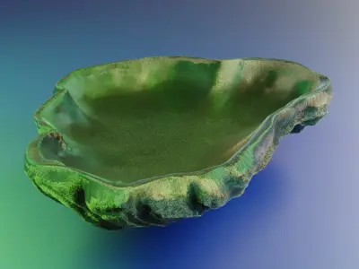  Oyster Shell Vol 8 High Detail 3D Printable Model 3D print model