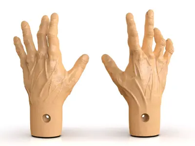 Tortured Man Hands 3D print model