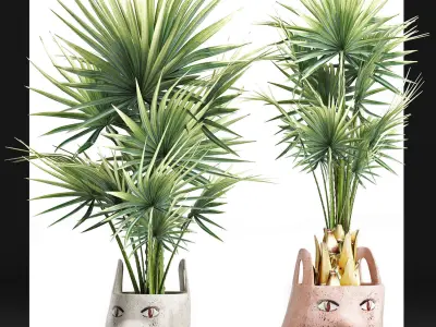 Plants Collection 198 Sabal Minor 3D model