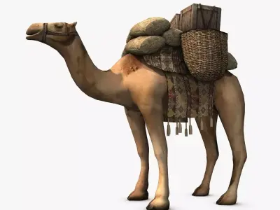 Loaded camel Low-poly 3D model