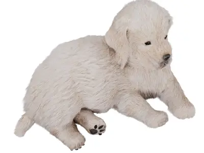 Labrador puppy 3D model
