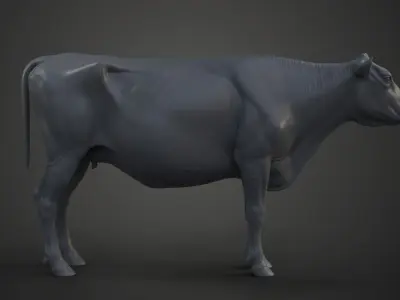 Holstein Female Model Low-poly 3D model