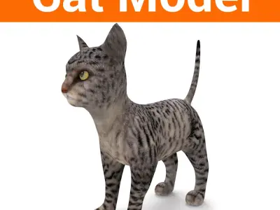 3d Pet Cat low poly Model Low-poly 3D model