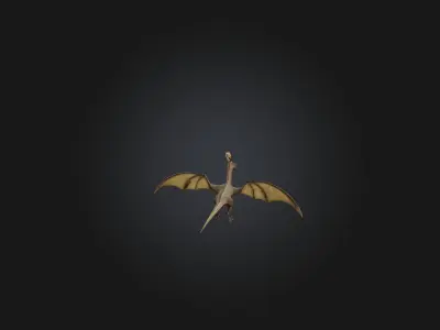 Wyvern Low-poly 3D model