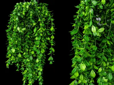 Hanging Plant Pot Set 3D model