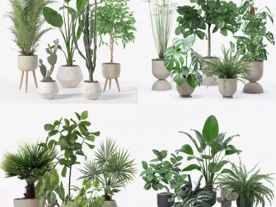 20 Photorealistic Flowers for Interiors - set 119 127 124 126 3D Model Collection