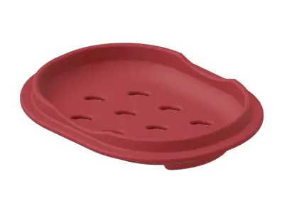 Plastic Deluxe Soap Dish 3D model
