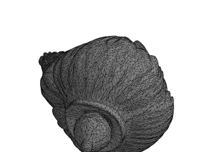 Intricate Wood Carving Leaf Ornament Low-poly 3D model