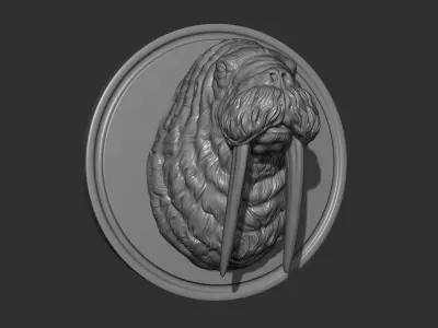 Walrus head 3D print model