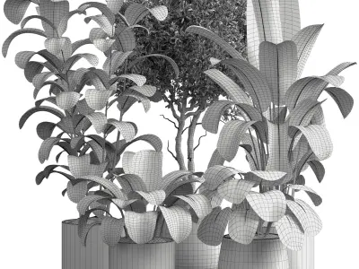 Indoor plant 07 3D model purchase