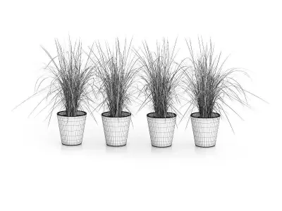 Four Plants in White Pots 3D model