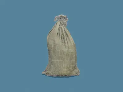 3D Scan Old Bag 02 Free low-poly 3D model