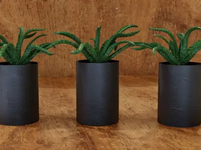  indoor pot plant Low-poly 3D model