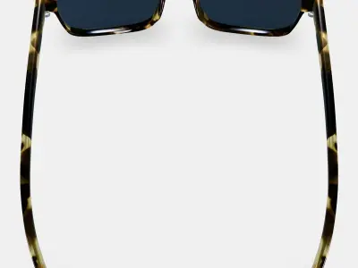 Perkins Sunglasses in Burnt Honeycomb Tortoise Low-poly 3D model
