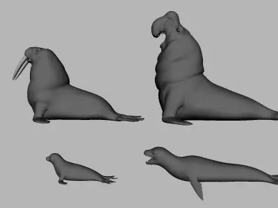 4Seal Pack  Low-poly 3D model