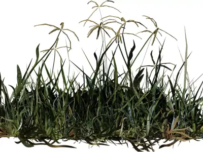 Realistic Lawn Grass Clump Pack Low-poly 3D model