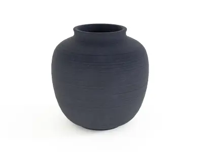 Nature-Inspired Botanical Vase 3D model