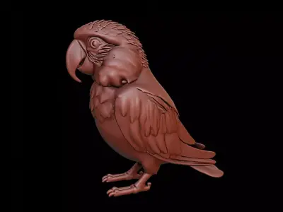 Parrot Animal Sculpture 3D print model buy