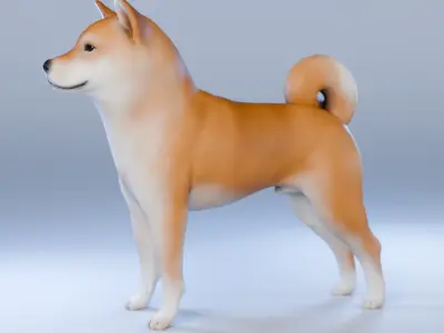 Dog Shiba Inu Animal 3D Model Low-poly 3D model