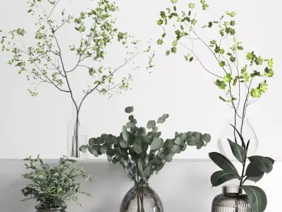 collection Plants Bouquet Indoor glass vase 07 3D model