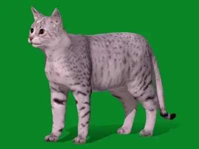 Egyptian Mau Cat Low-poly 3D model