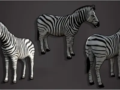 Animal Zebra 3D model