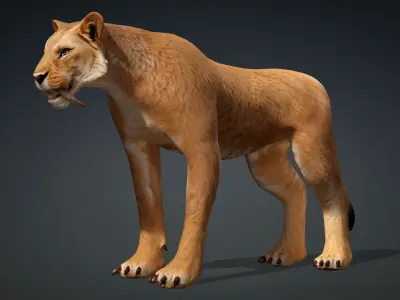 Lion-B1 3D model