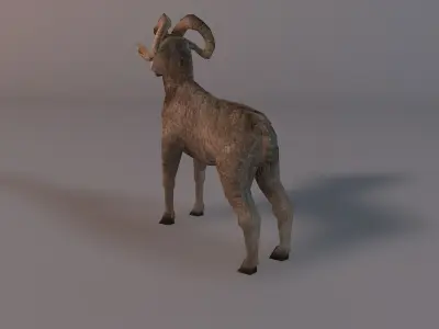 Low poly ram Low-poly 3D model