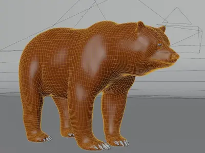 Bear Animal 3D  3D model