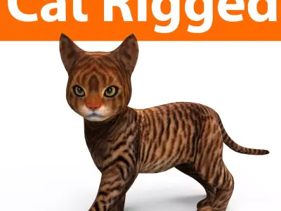 Wild Cute Cat Rigged  Low-poly 3D model
