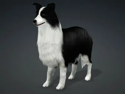 Sheep Dog Animated Low-poly 3D model