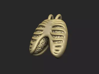 ribcage lung skeleton bone costal anatomy design 3D print model