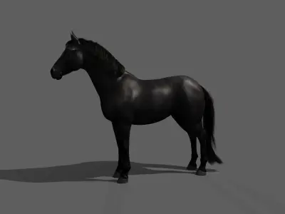 Horse final 3D model